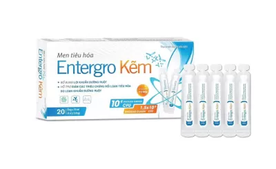 Men Tiêu Hóa Entergro Kẽm Hộp 20 Ống
